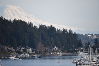 Filename=DSC_2997.JPG
Filesize=16906KiB
Dimensions=7360x4912
Date added=Mar 13, 2021 DSC_2997.JPG