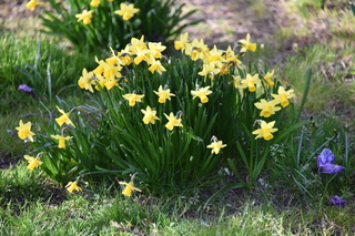 Filename=DSC_2999.JPG
Filesize=19568KiB
Dimensions=7360x4912
Date added=Mar 13, 2021 DSC_2999.JPG