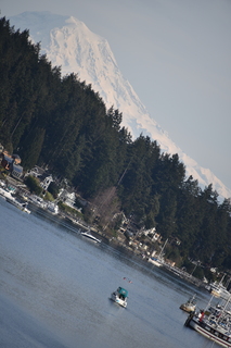 Filename=DSC_3000.JPG
Filesize=15280KiB
Dimensions=4912x7360
Date added=Mar 13, 2021 DSC_3000.JPG