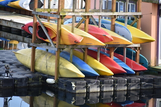 Filename=DSC_3003.JPG
Filesize=17471KiB
Dimensions=7360x4912
Date added=Mar 13, 2021 DSC_3003.JPG