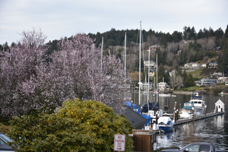 Filename=DSC_3018.JPG
Filesize=21275KiB
Dimensions=7360x4912
Date added=Mar 13, 2021 DSC_3018.JPG