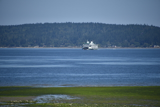 Filename=DSC_4179.JPG
Filesize=16829KiB
Dimensions=7360x4912
Date added=Sep 06, 2021 DSC_4179.JPG