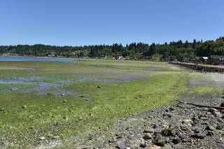 Filename=DSC_4180.JPG
Filesize=25404KiB
Dimensions=7360x4912
Date added=Sep 06, 2021 DSC_4180.JPG