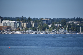 Filename=DSC_4181.JPG
Filesize=17856KiB
Dimensions=7360x4912
Date added=Sep 06, 2021 DSC_4181.JPG