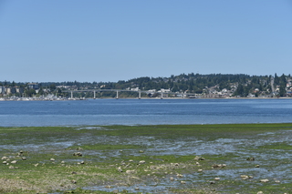 Filename=DSC_4182.JPG
Filesize=22242KiB
Dimensions=7360x4912
Date added=Sep 06, 2021 DSC_4182.JPG