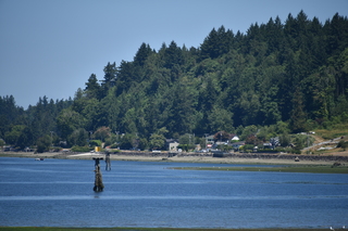 Filename=DSC_4189.JPG
Filesize=19018KiB
Dimensions=7360x4912
Date added=Sep 06, 2021 DSC_4189.JPG