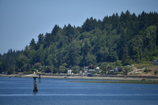 Filename=DSC_4190.JPG
Filesize=18774KiB
Dimensions=7360x4912
Date added=Sep 06, 2021 DSC_4190.JPG