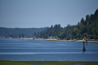 Filename=DSC_4191.JPG
Filesize=16255KiB
Dimensions=7360x4912
Date added=Sep 06, 2021 DSC_4191.JPG