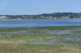 Filename=DSC_4193.JPG
Filesize=25202KiB
Dimensions=7360x4912
Date added=Sep 06, 2021 DSC_4193.JPG