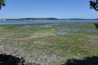 Filename=DSC_4194.JPG
Filesize=25666KiB
Dimensions=7360x4912
Date added=Sep 06, 2021 DSC_4194.JPG