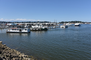 Filename=DSC_4195.JPG
Filesize=19916KiB
Dimensions=7360x4912
Date added=Sep 06, 2021 DSC_4195.JPG