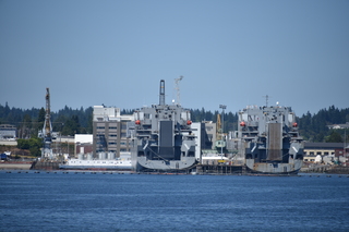 Filename=DSC_4198.JPG
Filesize=17066KiB
Dimensions=7360x4912
Date added=Sep 06, 2021 DSC_4198.JPG