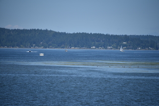 Filename=DSC_4201.JPG
Filesize=17360KiB
Dimensions=7360x4912
Date added=Sep 06, 2021 DSC_4201.JPG