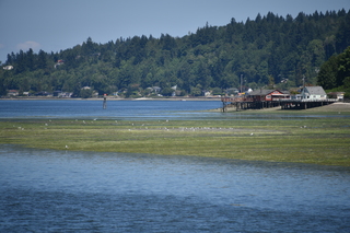 Filename=DSC_4203.JPG
Filesize=18507KiB
Dimensions=7360x4912
Date added=Sep 06, 2021 DSC_4203.JPG