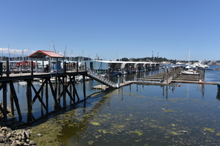 Filename=DSC_4207.JPG
Filesize=19732KiB
Dimensions=7360x4912
Date added=Sep 06, 2021 DSC_4207.JPG