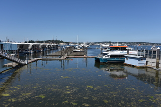 Filename=DSC_4208.JPG
Filesize=19467KiB
Dimensions=7360x4912
Date added=Sep 06, 2021 DSC_4208.JPG