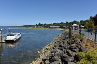 Filename=DSC_4209.JPG
Filesize=21297KiB
Dimensions=7360x4912
Date added=Sep 06, 2021 DSC_4209.JPG