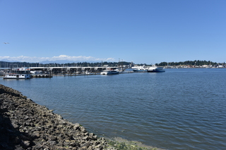 Filename=DSC_4216.JPG
Filesize=20024KiB
Dimensions=7360x4912
Date added=Sep 06, 2021 DSC_4216.JPG