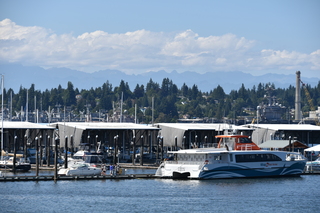 Filename=DSC_4223.JPG
Filesize=19133KiB
Dimensions=7360x4912
Date added=Sep 06, 2021 DSC_4223.JPG