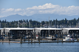 Filename=DSC_4224.JPG
Filesize=19630KiB
Dimensions=7360x4912
Date added=Sep 06, 2021 DSC_4224.JPG