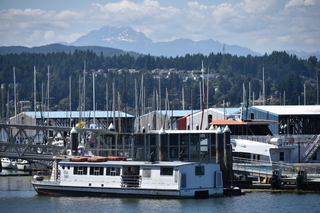 Filename=DSC_4225.JPG
Filesize=18515KiB
Dimensions=7360x4912
Date added=Sep 06, 2021 DSC_4225.JPG