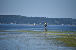 Filename=DSC_4227.JPG
Filesize=16874KiB
Dimensions=7360x4912
Date added=Sep 06, 2021 DSC_4227.JPG