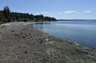 Filename=DSC_4229.JPG
Filesize=24869KiB
Dimensions=7360x4912
Date added=Sep 06, 2021 DSC_4229.JPG