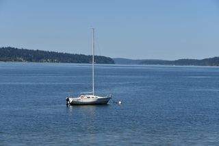 Filename=DSC_4234.JPG
Filesize=18900KiB
Dimensions=7360x4912
Date added=Sep 06, 2021 DSC_4234.JPG