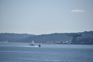 Filename=DSC_4237.JPG
Filesize=15563KiB
Dimensions=7360x4912
Date added=Sep 06, 2021 DSC_4237.JPG