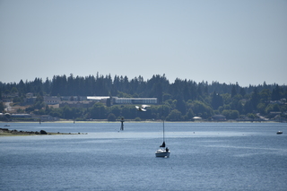 Filename=DSC_4238.JPG
Filesize=16448KiB
Dimensions=7360x4912
Date added=Sep 06, 2021 DSC_4238.JPG