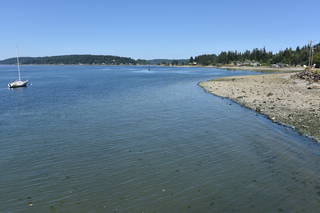 Filename=DSC_4241.JPG
Filesize=19892KiB
Dimensions=7360x4912
Date added=Sep 06, 2021 DSC_4241.JPG