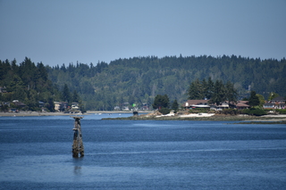 Filename=DSC_4242.JPG
Filesize=17531KiB
Dimensions=7360x4912
Date added=Sep 06, 2021 DSC_4242.JPG