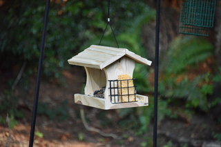 Filename=DSC_4245.JPG
Filesize=19994KiB
Dimensions=7360x4912
Date added=Sep 06, 2021 DSC_4245.JPG