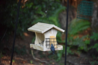 Filename=DSC_4246.JPG
Filesize=19191KiB
Dimensions=7360x4912
Date added=Sep 06, 2021 DSC_4246.JPG