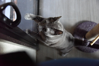 Filename=DSC_4249.JPG
Filesize=17322KiB
Dimensions=7360x4912
Date added=Sep 06, 2021 DSC_4249.JPG