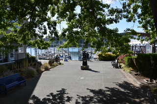 Filename=DSC_4286.JPG
Filesize=25756KiB
Dimensions=7360x4912
Date added=Sep 06, 2021 DSC_4286.JPG