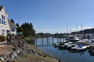 Filename=DSC_4288.JPG
Filesize=19331KiB
Dimensions=7360x4912
Date added=Sep 06, 2021 DSC_4288.JPG