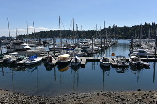 Filename=DSC_4289.JPG
Filesize=19814KiB
Dimensions=7360x4912
Date added=Sep 06, 2021 DSC_4289.JPG