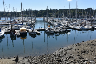 Filename=DSC_4297.JPG
Filesize=21998KiB
Dimensions=7360x4912
Date added=Sep 06, 2021 DSC_4297.JPG