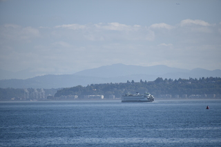 Filename=DSC_4300.JPG
Filesize=15790KiB
Dimensions=7360x4912
Date added=Sep 06, 2021 DSC_4300.JPG