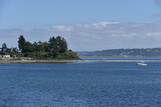 Filename=DSC_4305.JPG
Filesize=19981KiB
Dimensions=7360x4912
Date added=Sep 06, 2021 DSC_4305.JPG