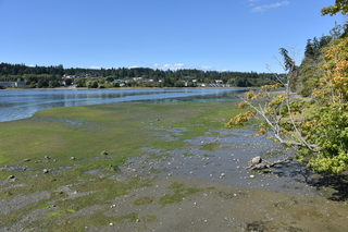 Filename=DSC_4310.JPG
Filesize=23499KiB
Dimensions=7360x4912
Date added=Sep 06, 2021 DSC_4310.JPG