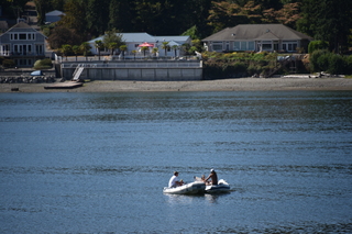 Filename=DSC_4311.JPG
Filesize=19373KiB
Dimensions=7360x4912
Date added=Sep 06, 2021 DSC_4311.JPG