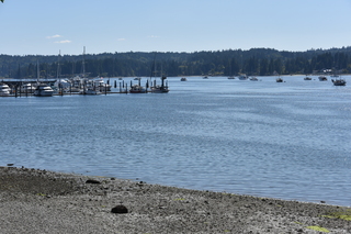 Filename=DSC_4312.JPG
Filesize=23303KiB
Dimensions=7360x4912
Date added=Sep 06, 2021 DSC_4312.JPG