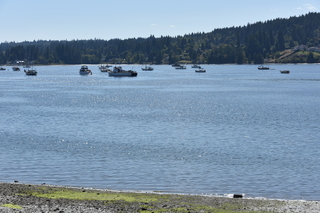 Filename=DSC_4313.JPG
Filesize=22464KiB
Dimensions=7360x4912
Date added=Sep 06, 2021 DSC_4313.JPG