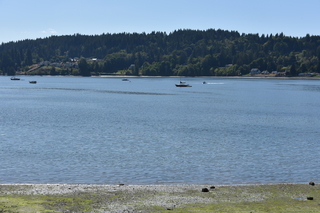 Filename=DSC_4314.JPG
Filesize=22259KiB
Dimensions=7360x4912
Date added=Sep 06, 2021 DSC_4314.JPG