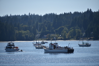 Filename=DSC_4315.JPG
Filesize=18714KiB
Dimensions=7360x4912
Date added=Sep 06, 2021 DSC_4315.JPG