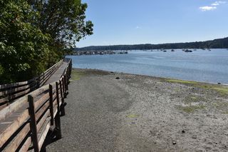 Filename=DSC_4318.JPG
Filesize=25745KiB
Dimensions=7360x4912
Date added=Sep 06, 2021 DSC_4318.JPG