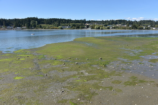 Filename=DSC_4319.JPG
Filesize=24958KiB
Dimensions=7360x4912
Date added=Sep 06, 2021 DSC_4319.JPG