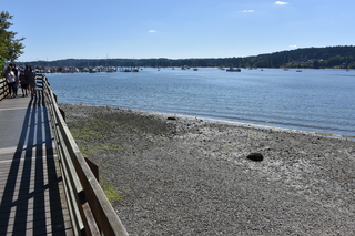 Filename=DSC_4320.JPG
Filesize=24399KiB
Dimensions=7360x4912
Date added=Sep 06, 2021 DSC_4320.JPG